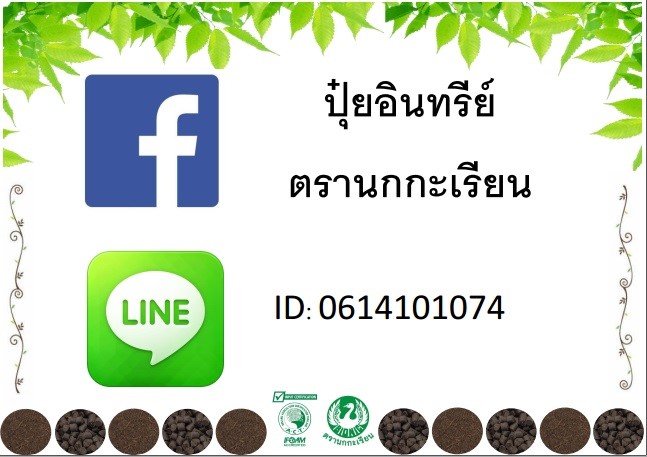 ติดต่อเรา